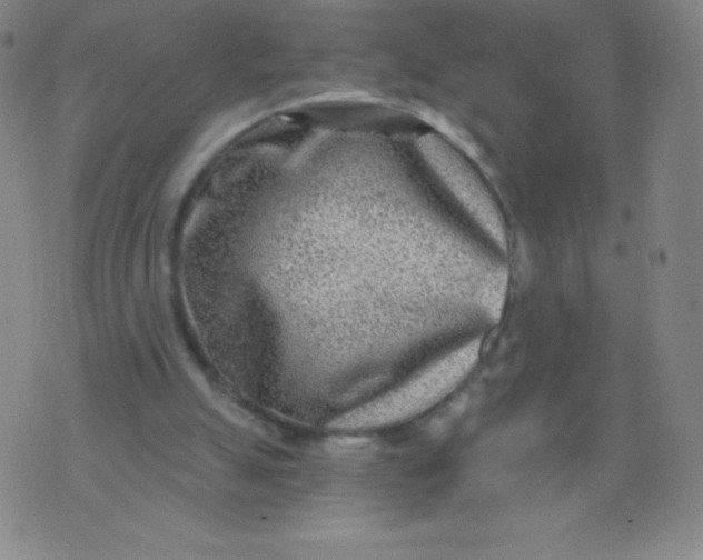 X0000070420055200606231903