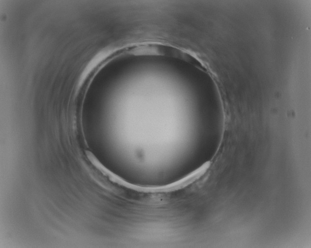 X0000070420056200606231903