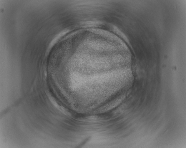 X0000070420059200606231903