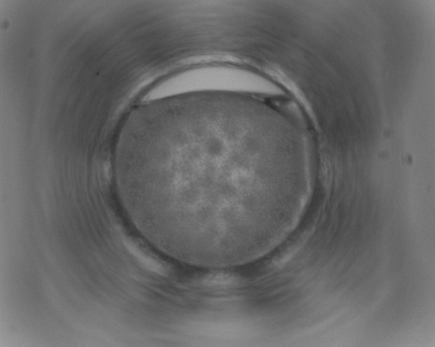 X0000070420063200606231903