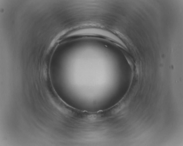 X0000070420064200606231903