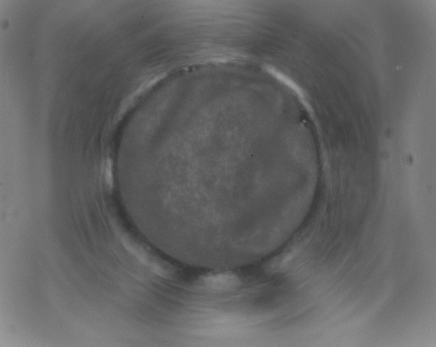 X0000070420067200606231903