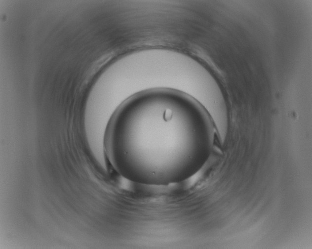 X0000070420068200606231903