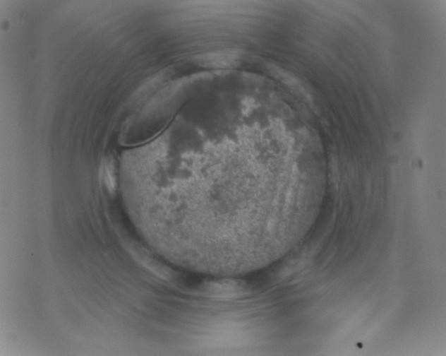 X0000070420069200606231903