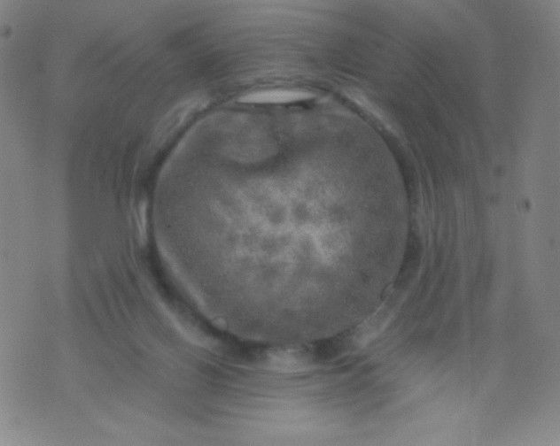 X0000070420070200606231903