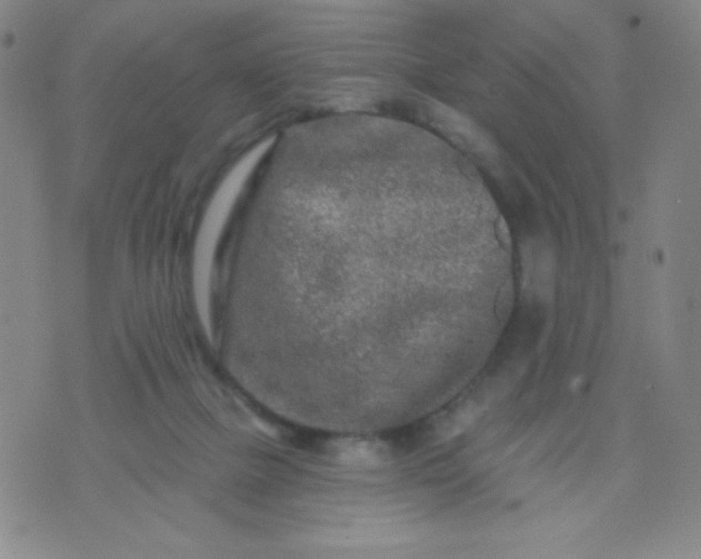 X0000070420073200606231903