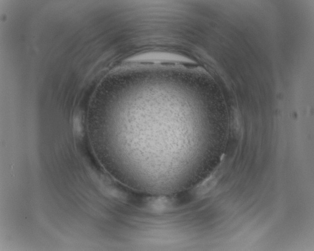 X0000070420074200606231903