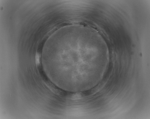 X0000070420075200606231903