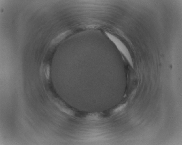 X0000070420076200606231903