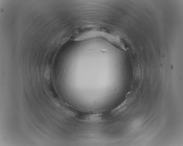 X0000070420078200606231903