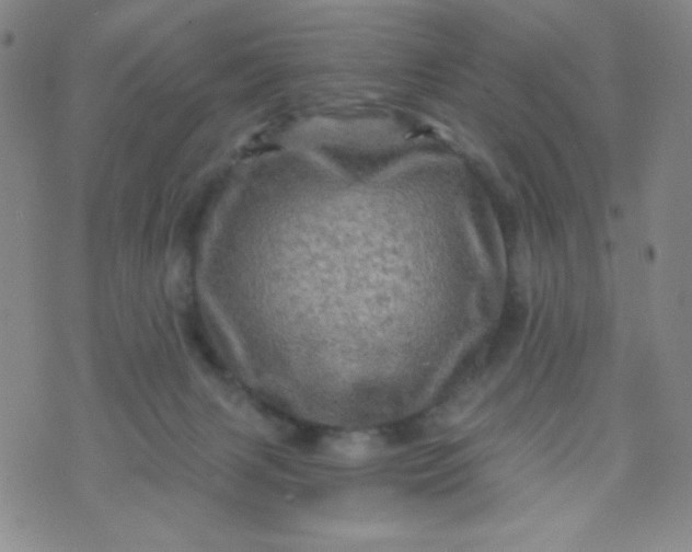 X0000070420079200606231903