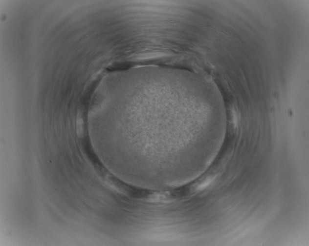 X0000070420080200606231903