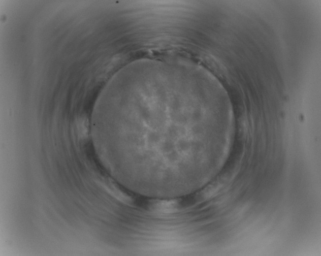 X0000070420081200606231903