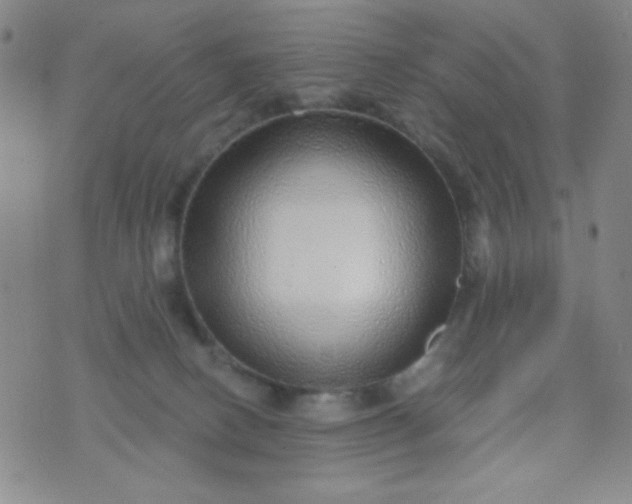 X0000070420082200606231903