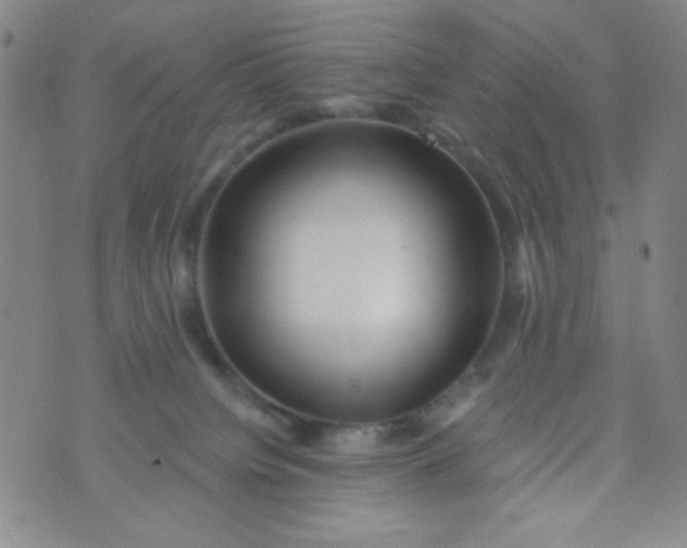 X0000070420084200606231903