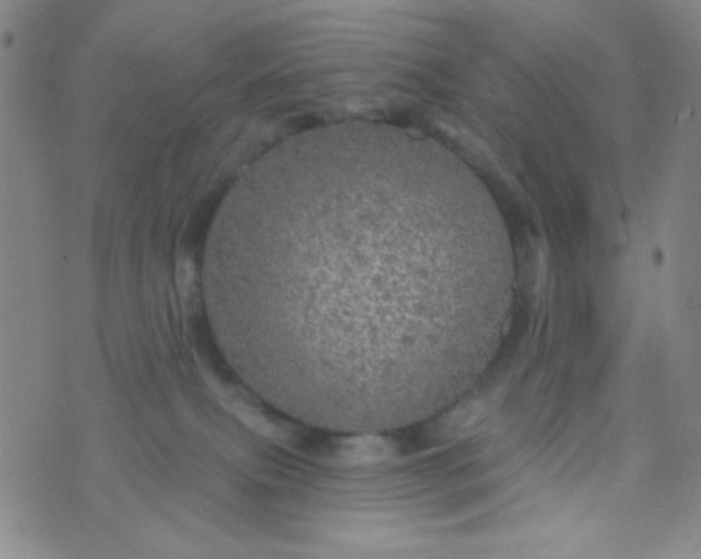 X0000070420087200606231904