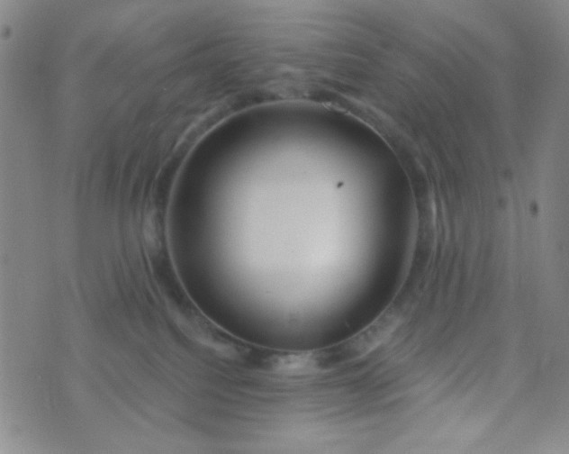 X0000070420088200606231904