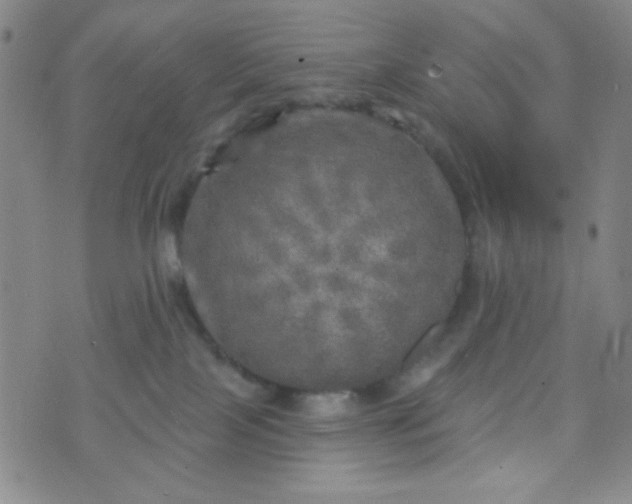 X0000070420089200606231904