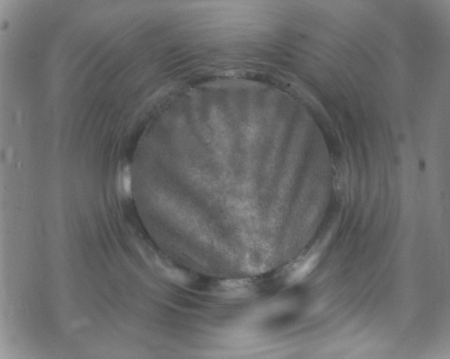 X0000070420095200606231904