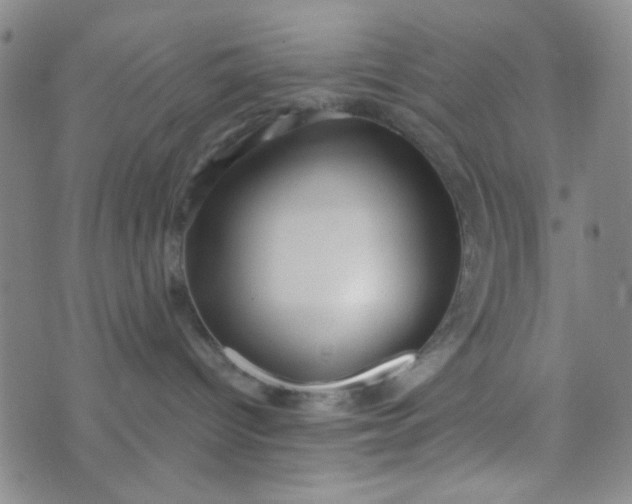 X0000070420096200606231904