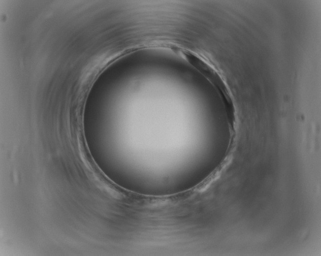 X0000070420097200606231903