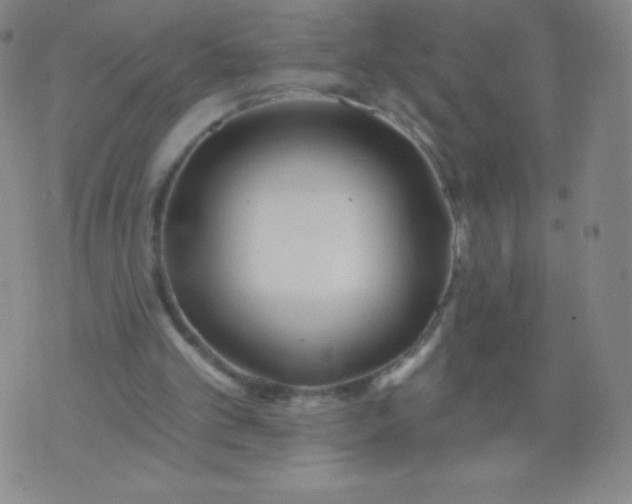 X0000070420101200606231903