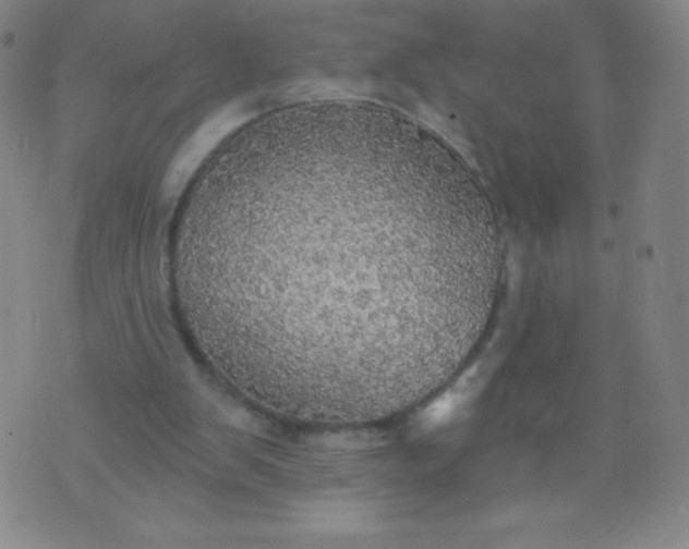 X0000070420103200606231903