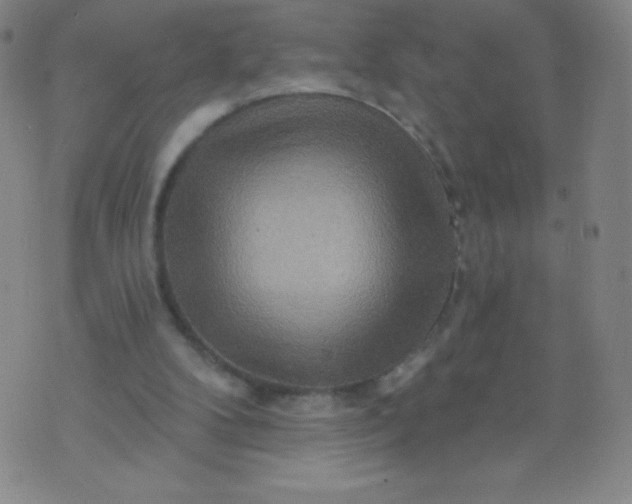 X0000070420104200606231903