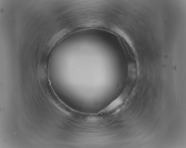 X0000070420105200606231903