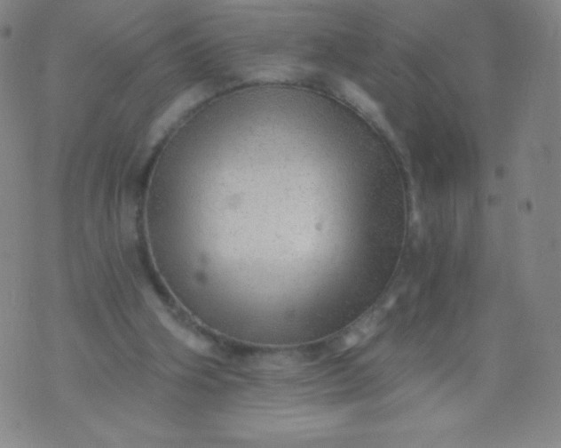 X0000070420106200606231903