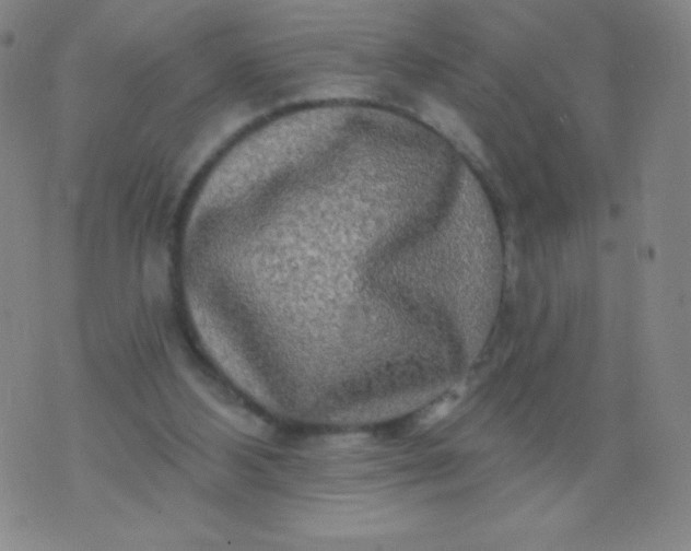 X0000070420108200606231903