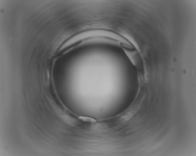 X0000070420109200606231903