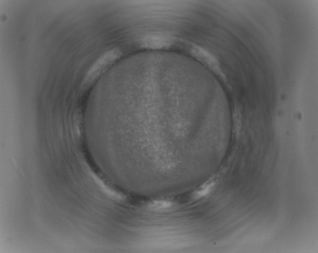 X0000070420114200606231903