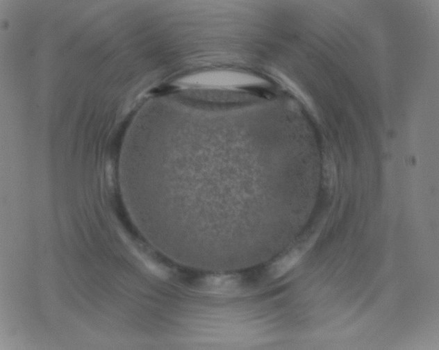 X0000070420117200606231903