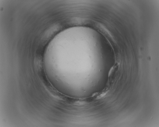 X0000070420119200606231903