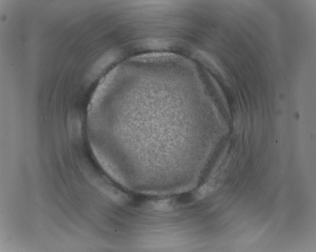 X0000070420120200606231903