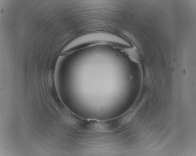 X0000070420121200606231903