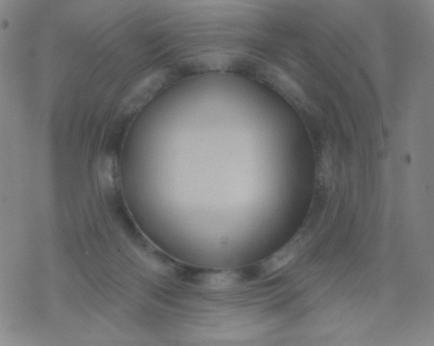 X0000070420122200606231902