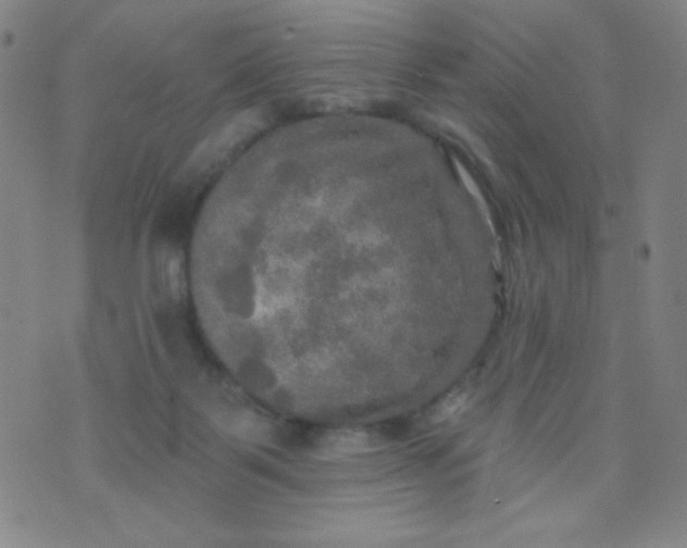 X0000070420123200606231902