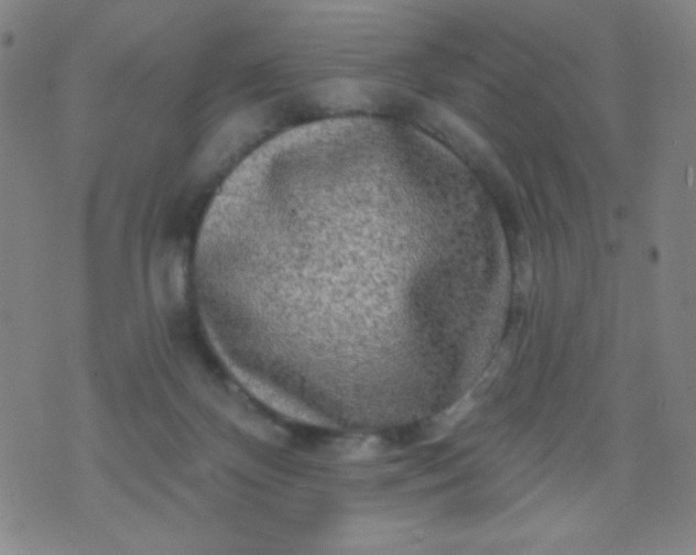 X0000070420124200606231902