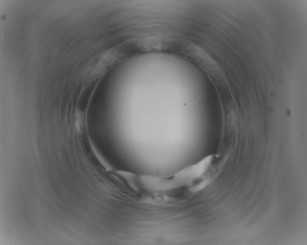 X0000070420125200606231902