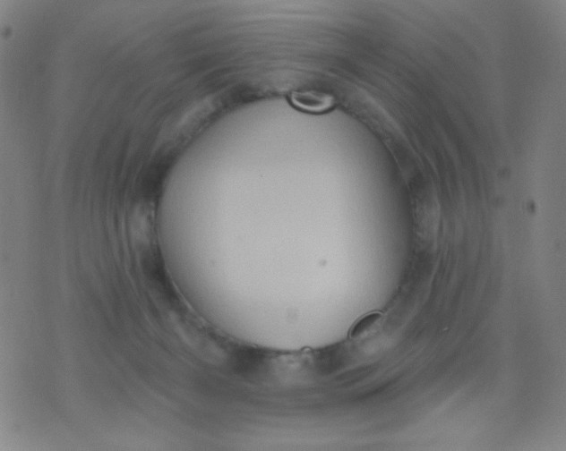 X0000070420126200606231902