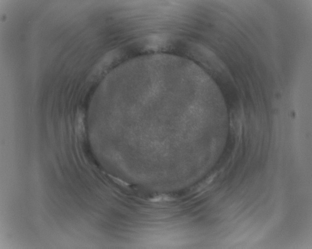 X0000070420127200606231902