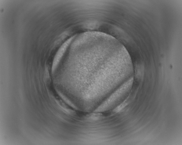 X0000070420128200606231902