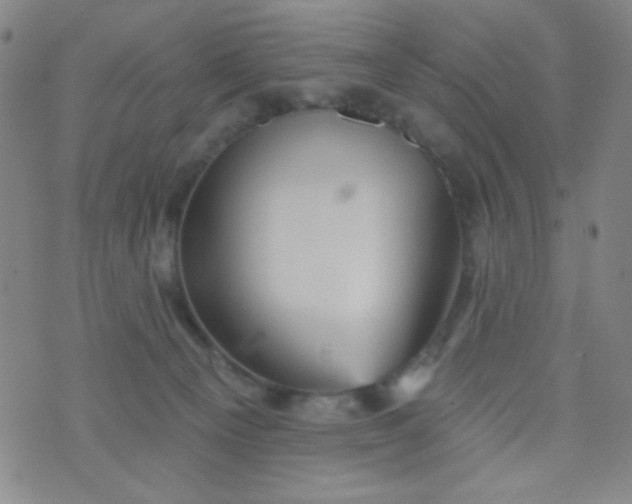 X0000070420129200606231902