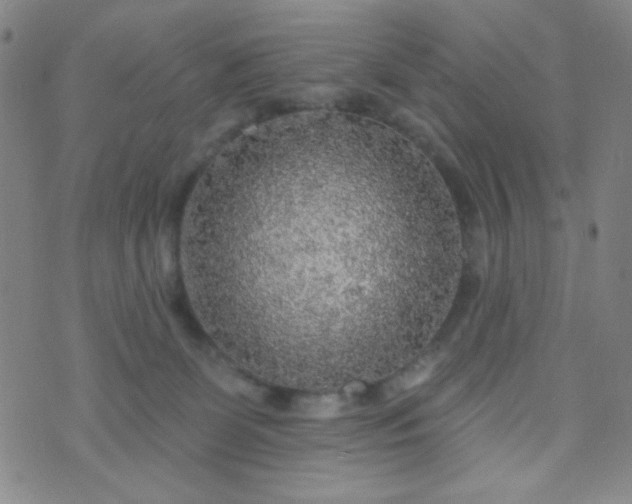 X0000070420131200606231902