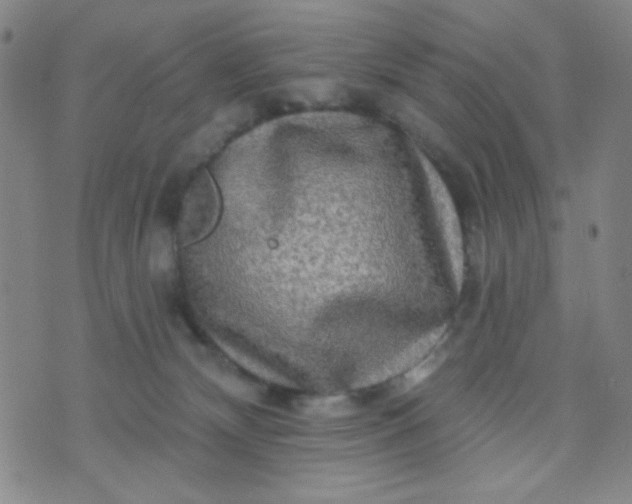 X0000070420132200606231902