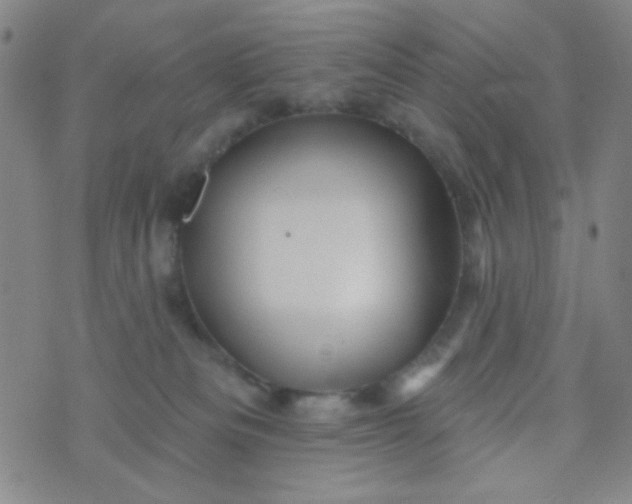 X0000070420133200606231902