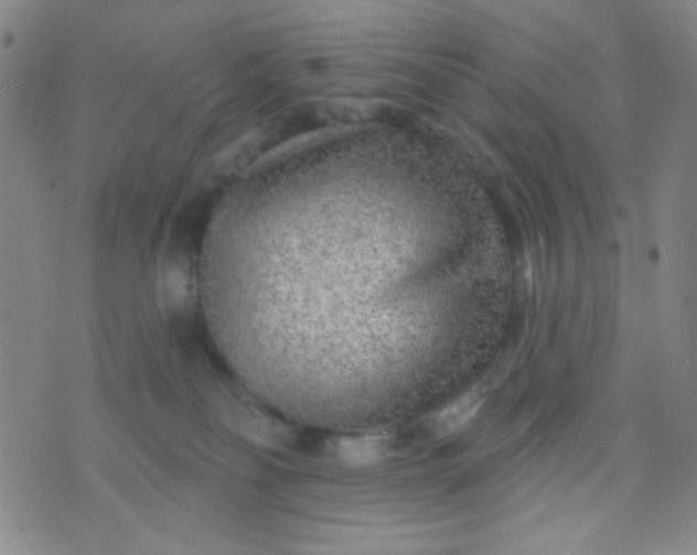 X0000070420134200606231902