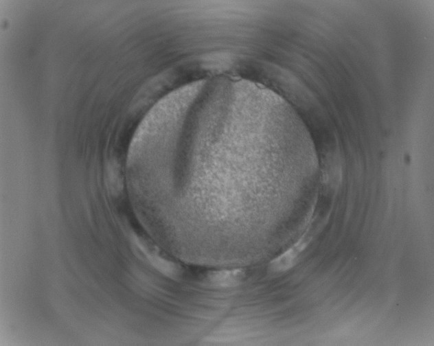 X0000070420136200606231902